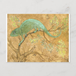 Carte Postale Un caméléon par Ustad Mansur