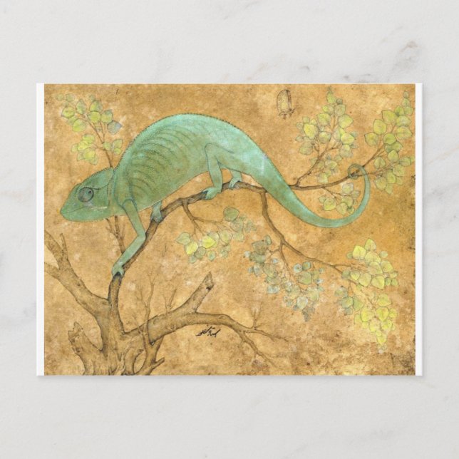 Carte Postale Un caméléon par Ustad Mansur (Devant)
