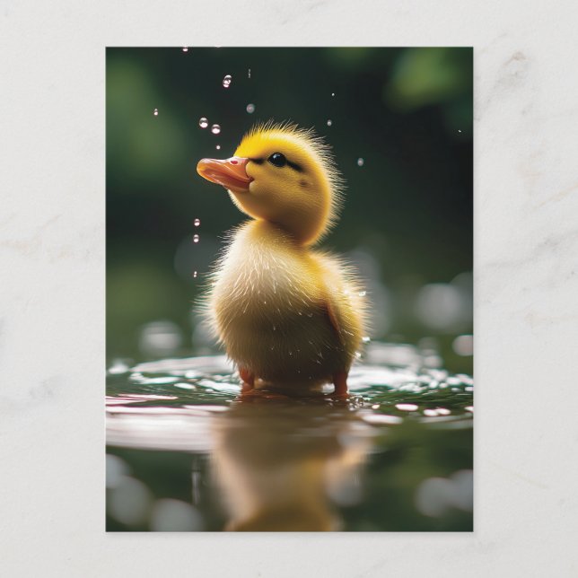 Carte Postale "Un canard adorable dans la pluie (Devant)