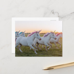 Carte Postale Un champ de licornes