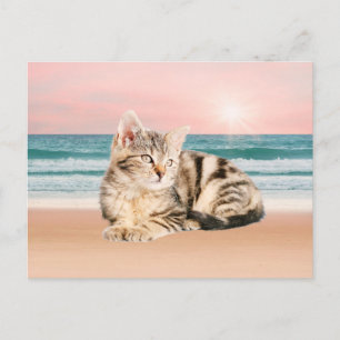 Carte Postale Un chat à rayures plus mignon assis sur la plage a