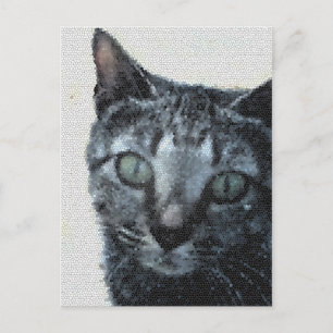 Carte Postale Un chat à travers les yeux d'une libellule.