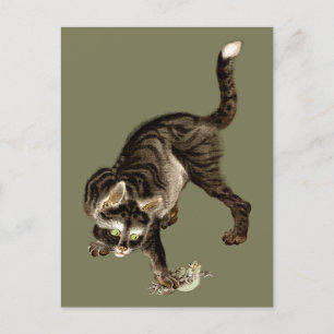 Carte Postale Un chat japonais attrape une grenouille