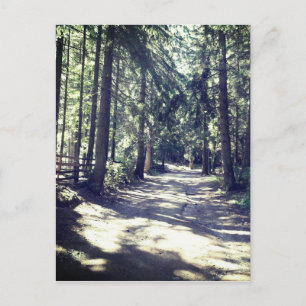 Carte Postale Un chemin à travers la forêt