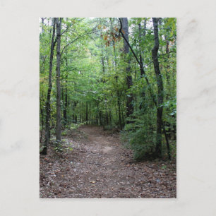 Carte Postale Un chemin pour la Géorgie
