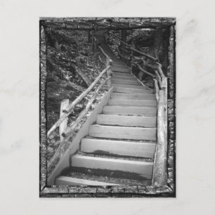 Carte Postale Un chemin sombre
