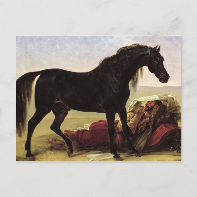 Carte Postale Un cheval arabe (Devant)