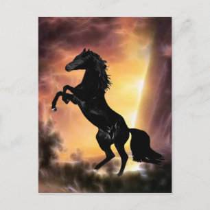 Carte Postale Un cheval de Stallion friésien
