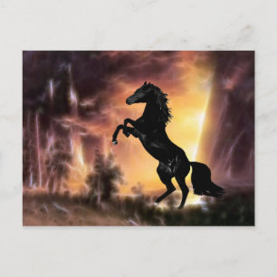 Carte Postale Un cheval de Stallion friésien