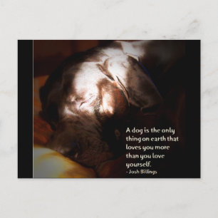 Carte Postale Un chien...