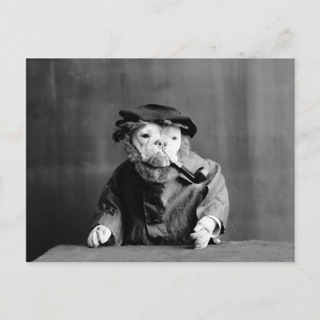 Carte Postale Un chien de mer : 1905 (Devant)