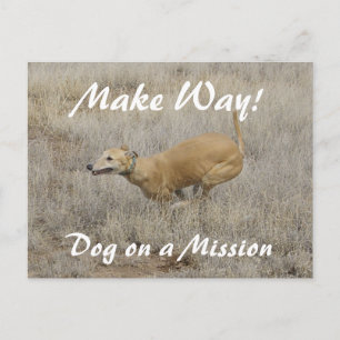 Carte Postale Un chien en mission