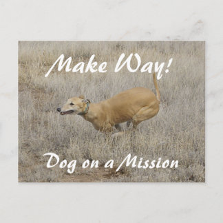 Carte Postale Un chien en mission
