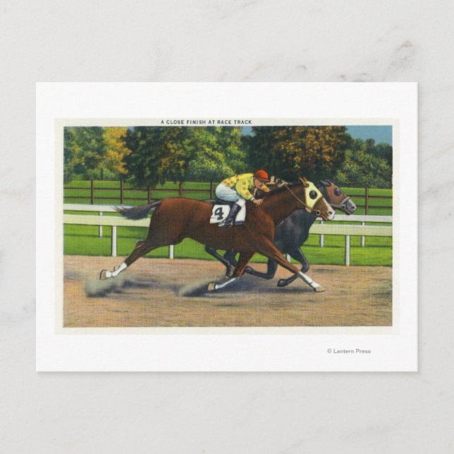 Carte Postale Un clin d'oeil à la piste de course, chevaux (Devant)