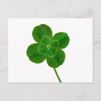 Carte Postale Un Clocher à quatre feuilles