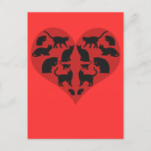 Carte Postale Un Coeur Pour Les Chats