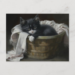 Carte Postale Un Coin Cosy Kittens