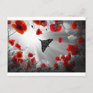 Carte Postale Un coquelicot rouge Vulcan