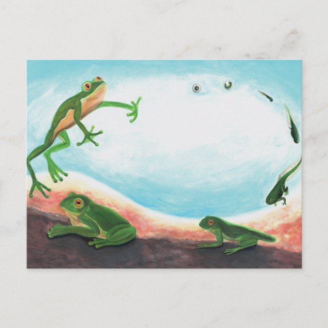 Carte Postale Un cycle de vie étonnant d'une grenouille (Devant)