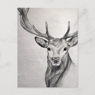 Carte Postale Un dessin au crayon extraordinaire d'une belle cré