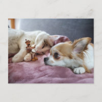 Un elfe d'Acorn lit un conte de fées à un chien et