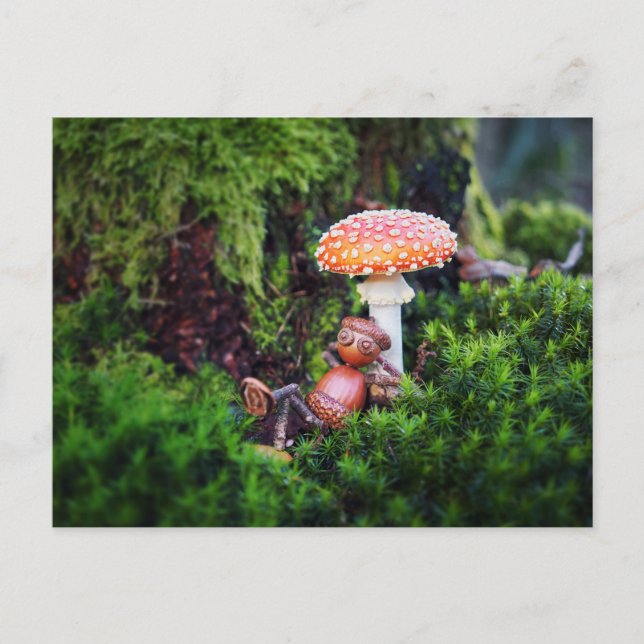 Carte Postale Un elfe de cacre se repose sous un champignon (Devant)