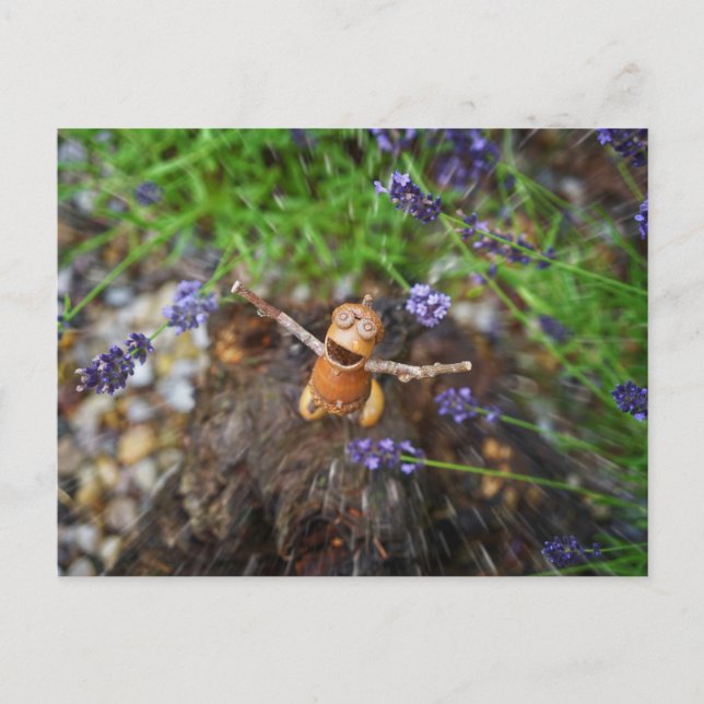 Carte Postale Un elfe d'maïs sous la pluie (Devant)