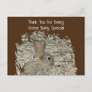 Carte Postale Un employé spécial Lapin sur le lieu de travail