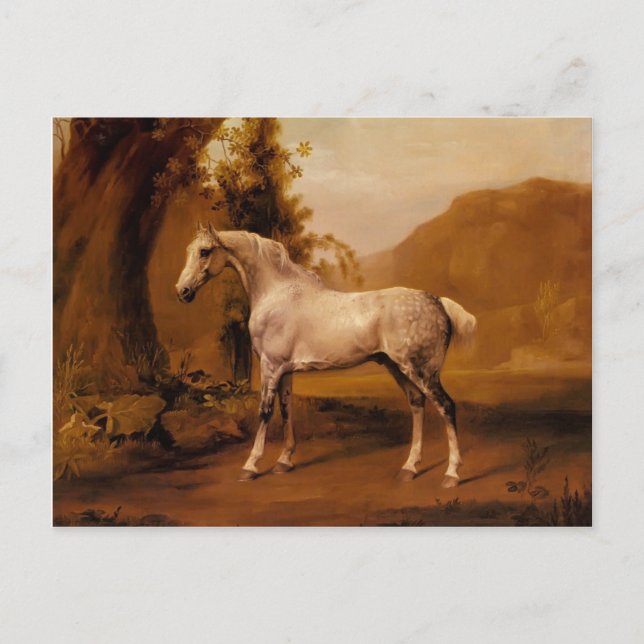Carte Postale Un étalon gris dans un paysage par George Stubbs (Devant)