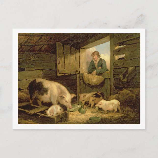 Carte Postale Un garçon regardant dans une étable de porc, 1794 (Devant)