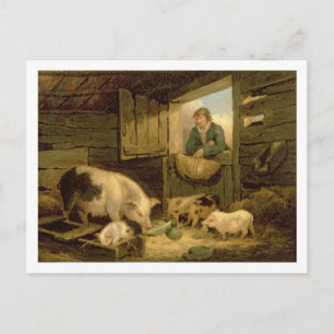 Carte Postale Un garçon regardant dans une étable de porc, 1794