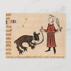 Carte Postale Un gardien d'ours, des Décrets de Gratien