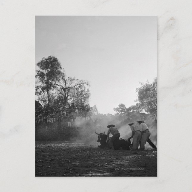 Carte Postale Un groupe de toreros mexicains charros (Devant)