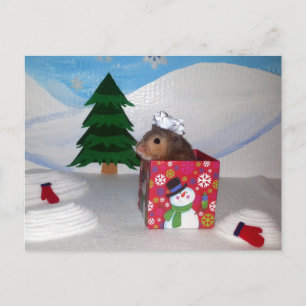 Carte Postale Un Hamstery Present !