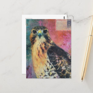 Carte Postale Un Hawk