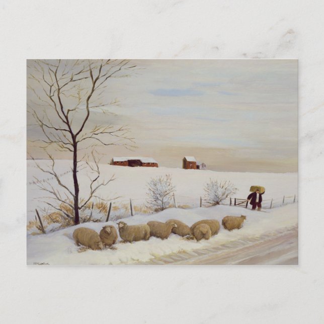 Carte Postale Un hiver difficile (Devant)