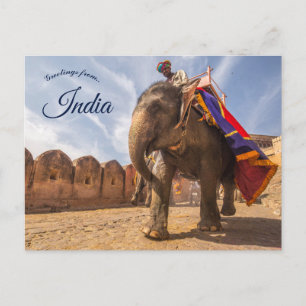 Carte Postale Un Homme À L'Éléphant Au Palais De L'Ambre Jaipur