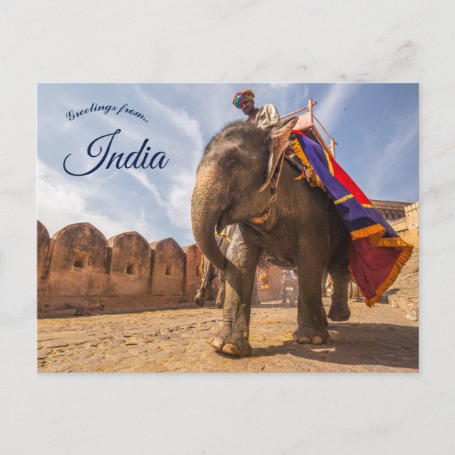 Carte Postale Un Homme À L'Éléphant Au Palais De L'Ambre Jaipur  (Devant)