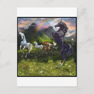 Carte Postale Un Homme De Snowy River
