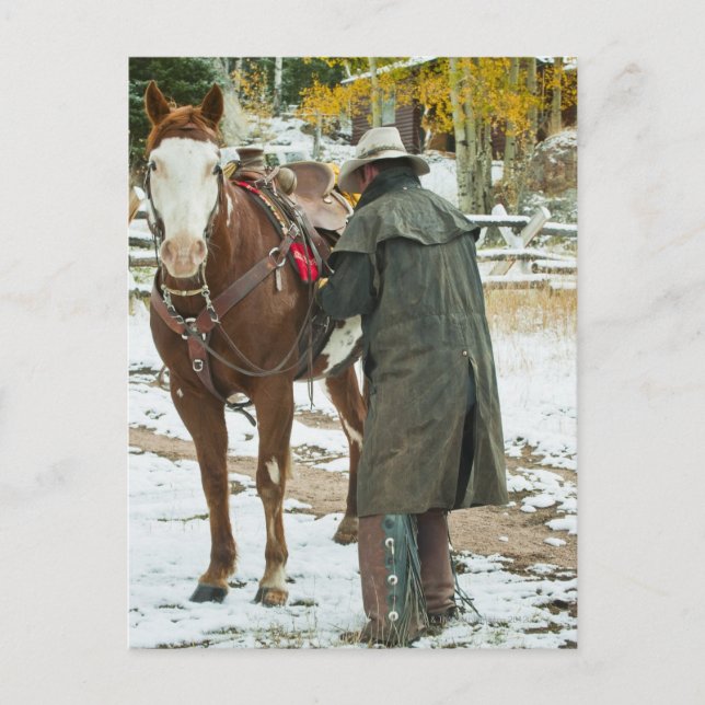 Carte Postale Un homme met la selle sur le cheval (Devant)