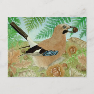 Carte Postale Un Jay à l'automne