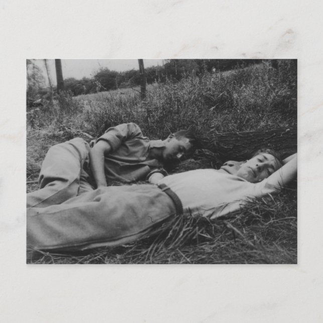 Carte Postale Un jeune couple masculin lascif nidifie l'intérêt  (Devant)