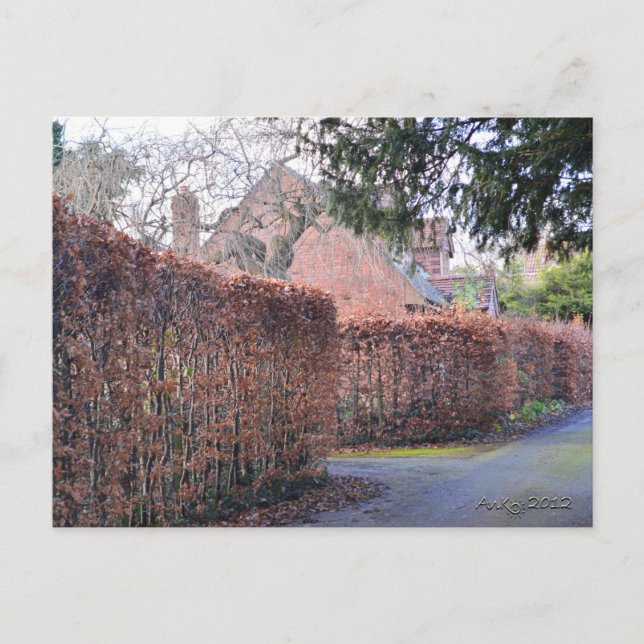 Carte Postale Un jour d'automne (Devant)
