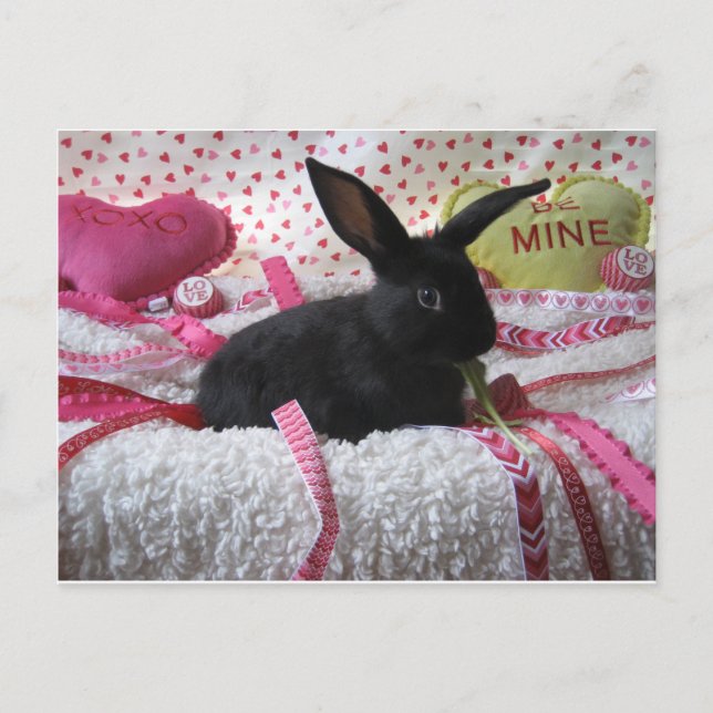 Carte Postale Un Lapin T'Aime ! (Devant)