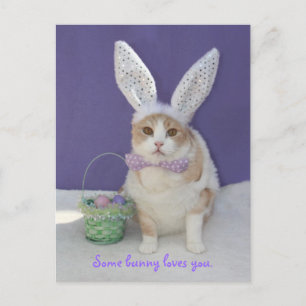 Carte Postale Un lapin t'aime.