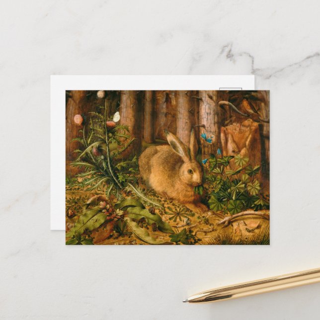 Carte Postale Un lièvre dans la forêt par Hans Hoffmann (Devant/Arrière en situation)
