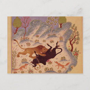 Carte Postale Un lion attaque et tue un taureau