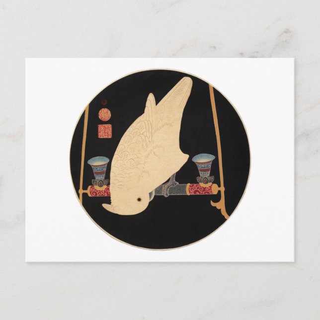 Carte Postale Un Macaw blanc, Jakuchu (Devant)