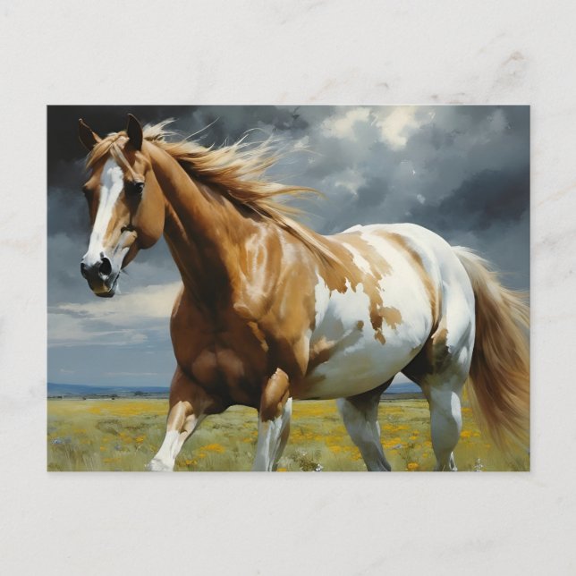 Carte Postale Un magnifique cheval Pinto dans le pré (Devant)