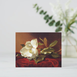 Carte Postale Un magnolia sur velours rouge, peinture célèbre